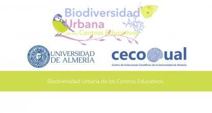 Proyecto BUCES – Universidad de Almería